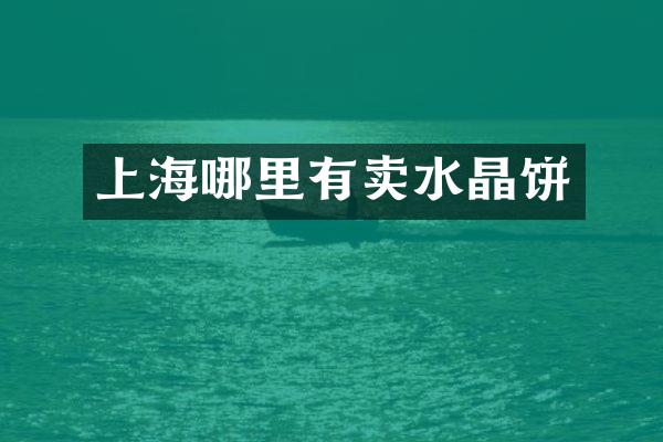 上海哪里有卖水晶饼