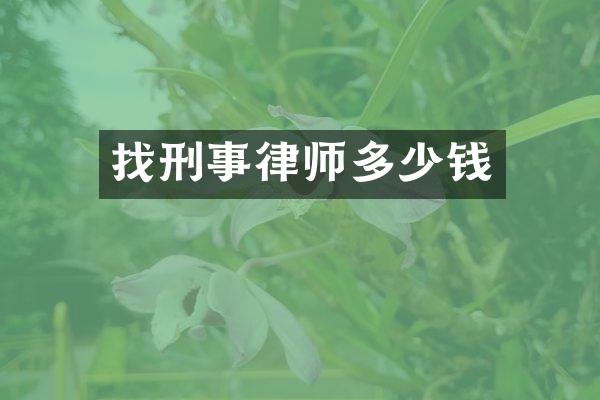找刑事律师多少钱