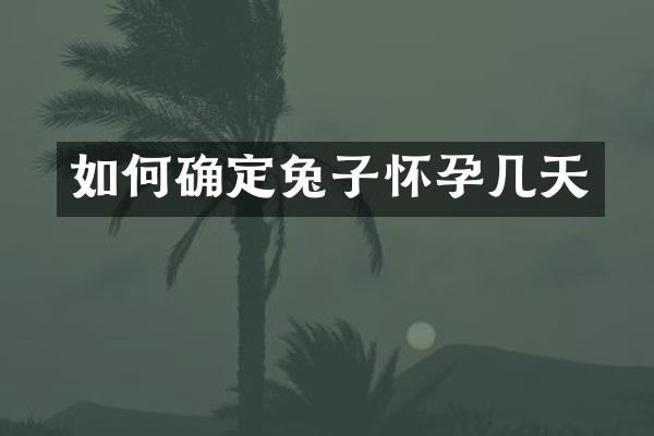 如何确定兔子怀孕几天
