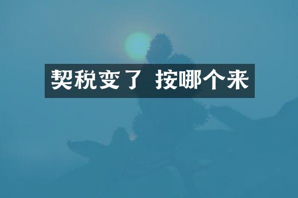 契税变了 按哪个来