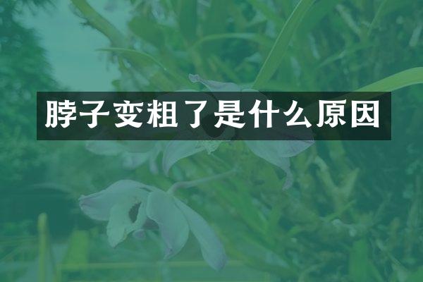 脖子变粗了是什么原因