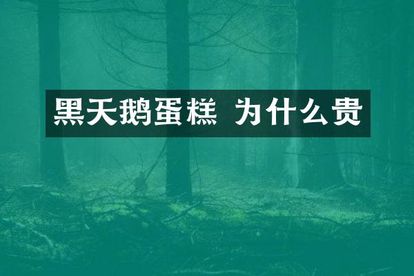黑天鹅蛋糕 为什么贵