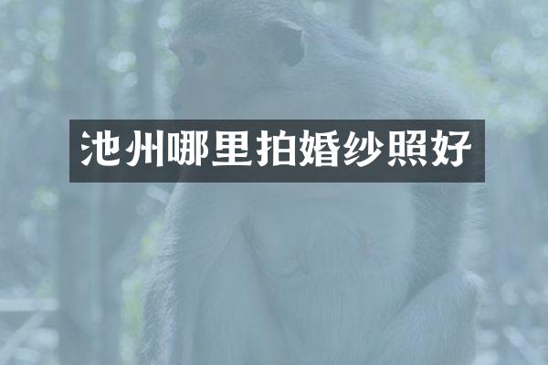 池州哪里拍婚纱照好