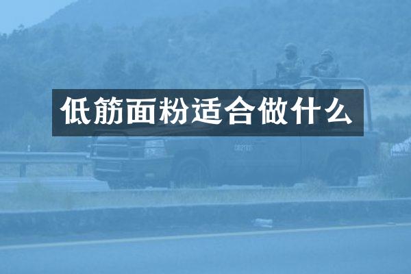 低筋面粉适合做什么