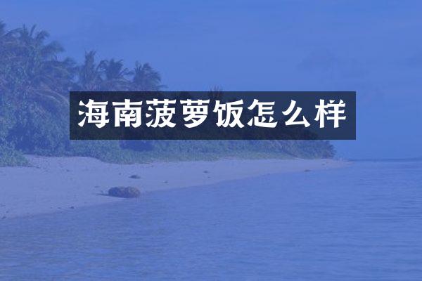 海南菠萝饭怎么样