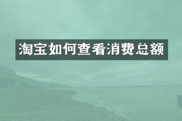 淘宝如何查看消费总额