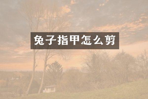 兔子指甲怎么剪