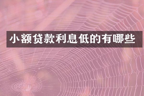 小额贷款利息低的有哪些