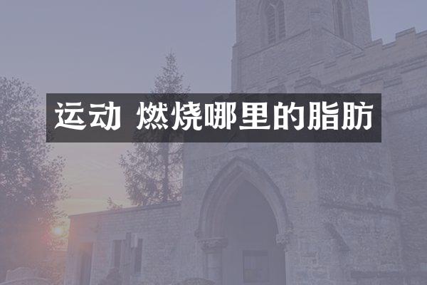 运动 燃烧哪里的脂肪