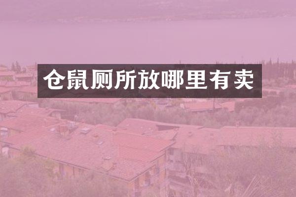 仓鼠厕所放哪里有卖