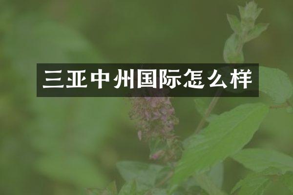 三亚中州国际怎么样