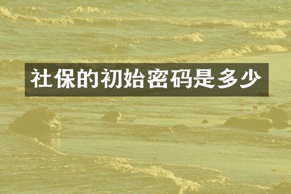 社保的初始密码是多少