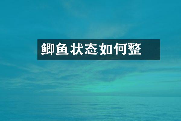鲫鱼餌状态如何整
