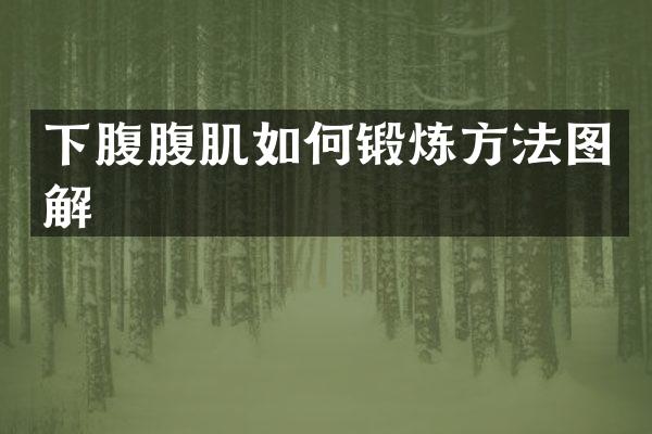 下腹腹肌如何锻炼方法图解