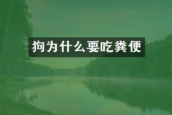 狗为什么要吃粪便