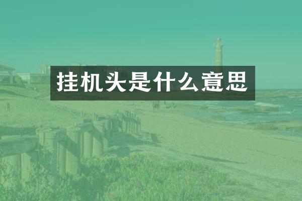 挂机头是什么意思