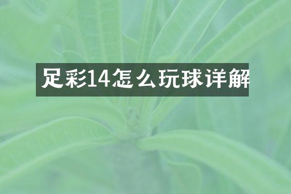 足彩14怎么玩球详解