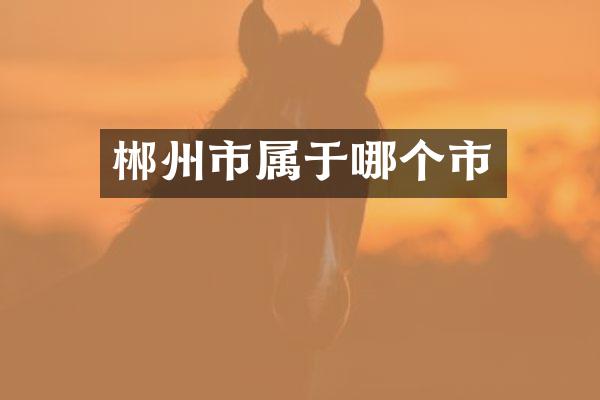 郴州市属于哪个市