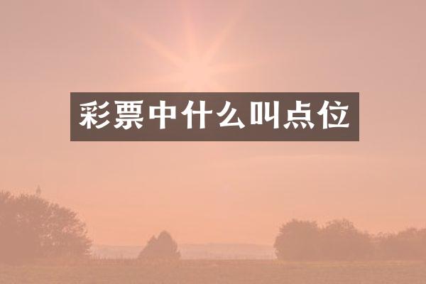 彩票中什么叫点位
