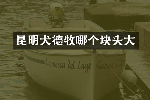 昆明犬德牧哪个块头大