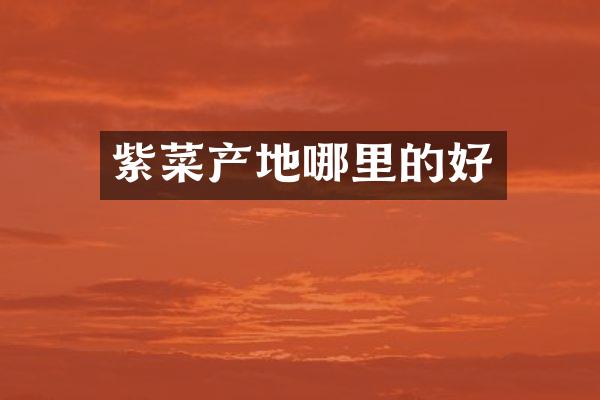 紫菜产地哪里的好