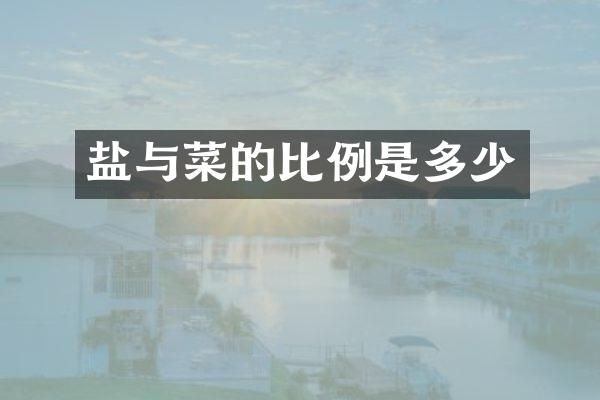 盐与菜的比例是多少