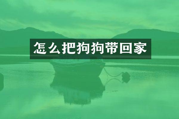 怎么把狗狗带回家