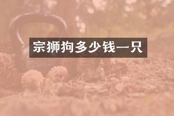 宗狮狗多少钱一只