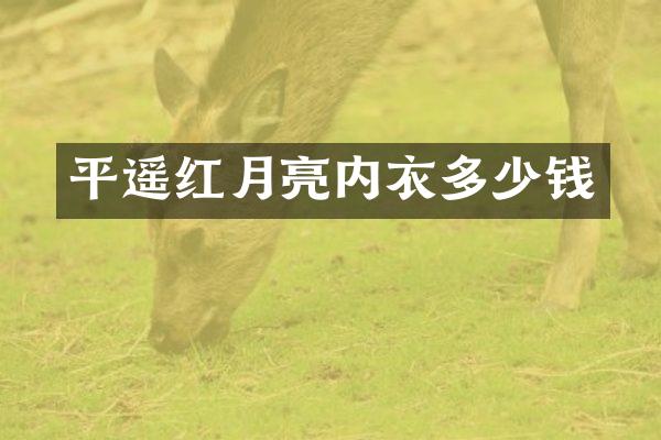 平遥红月亮内衣多少钱