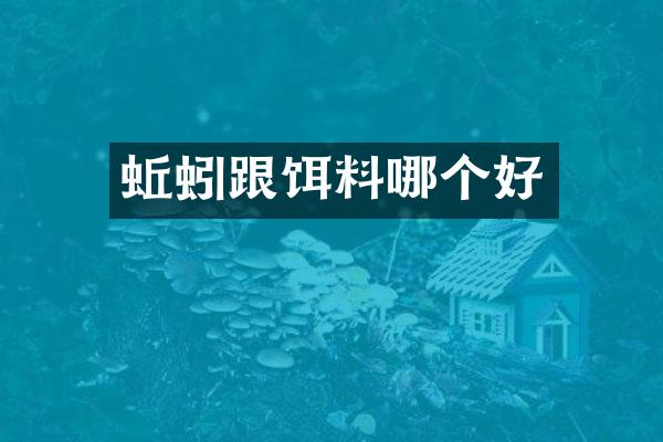 蚯蚓跟饵料哪个好