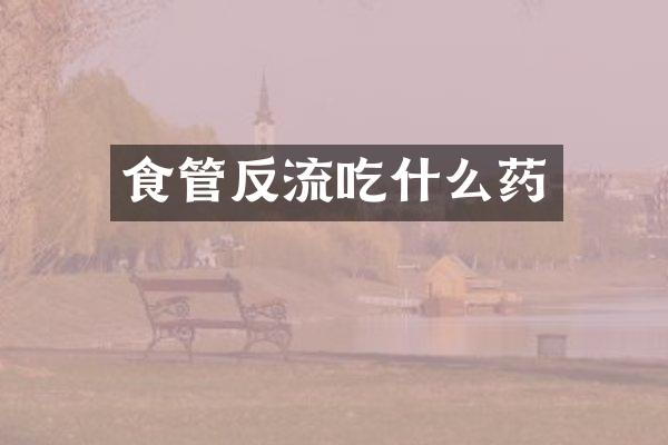 食管反流吃什么药