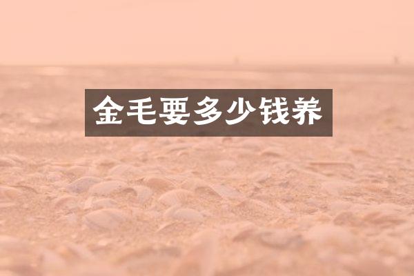 金毛要多少钱养