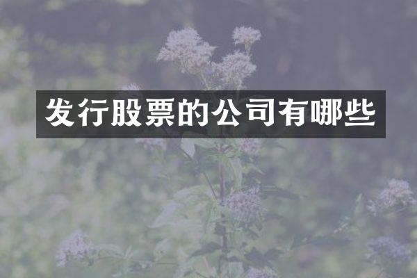 发行股票的公司有哪些