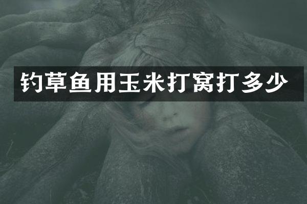 钓草鱼用玉米打窝打多少