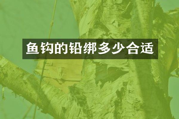 鱼钩的铅绑多少合适