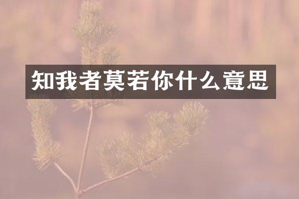 知我者莫若你什么意思