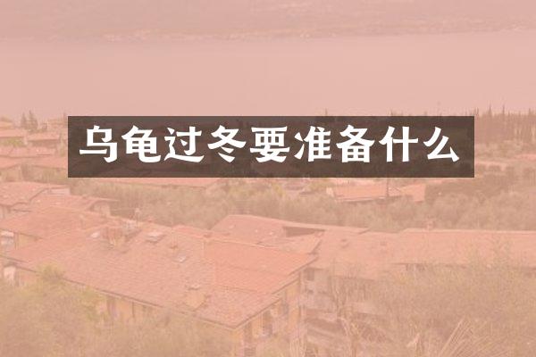 乌龟过冬要准备什么