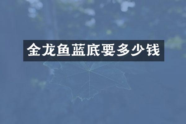 金龙鱼蓝底要多少钱