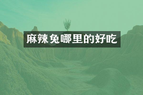 麻辣兔哪里的好吃