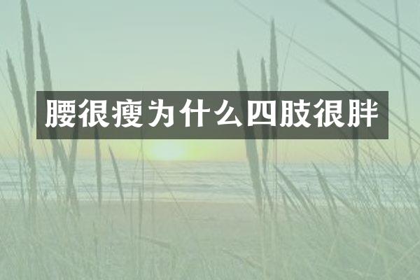 腰很瘦为什么四肢很胖