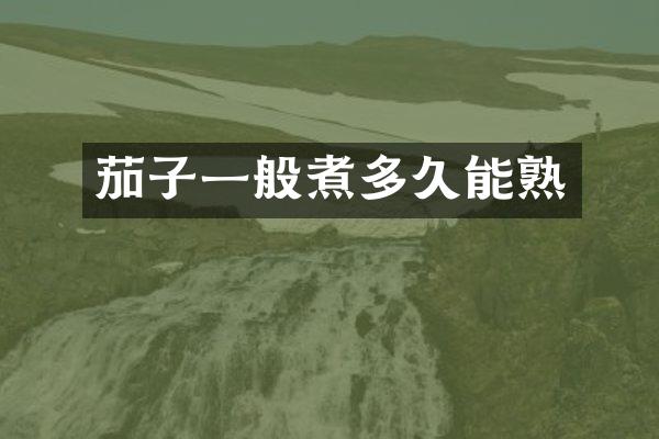 茄子一般煮多久能熟