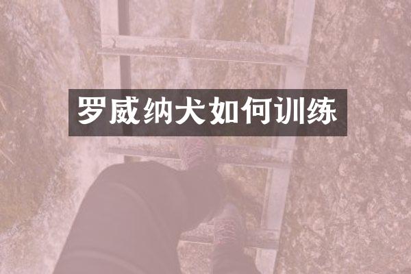 罗威纳犬如何训练