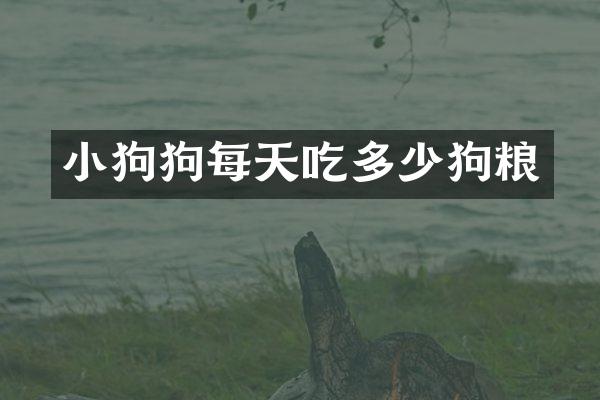 小狗狗每天吃多少狗粮