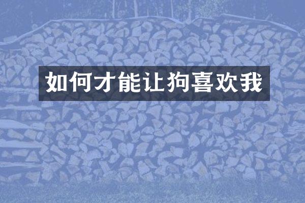 如何才能让狗喜欢我