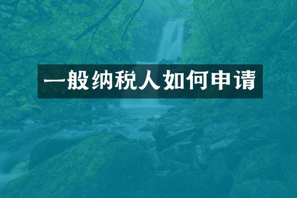 一般纳税人如何申请