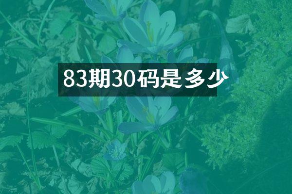 83期30码是多少