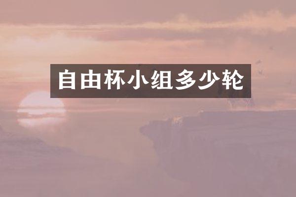 自由杯小组多少轮