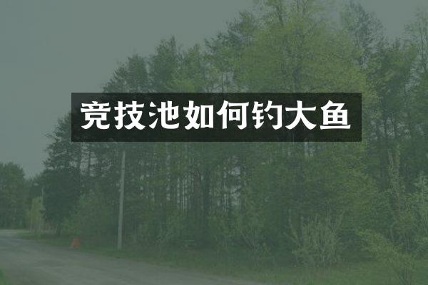 竞技池如何钓大鱼