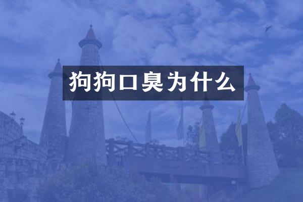 狗狗口臭为什么