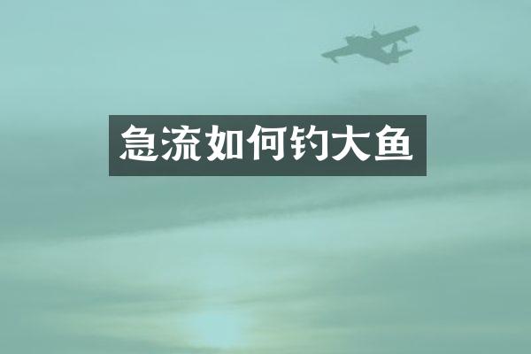 急流如何钓大鱼